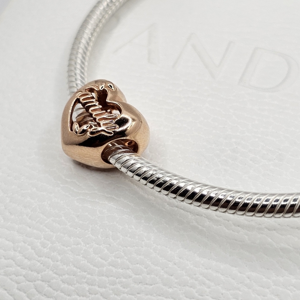 👨👩👧👦 Authentic Pandora ROSE FAMILY CHARM - Picture 5 of 11